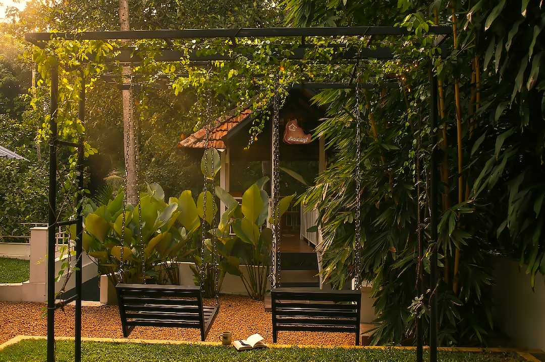 Garden swings under a vine-covered pergola at golden hour